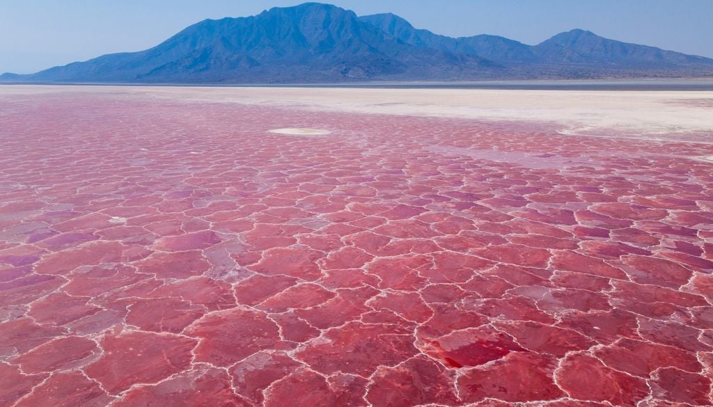 El color del lago se debe, en parte, a la proliferación de microorganismos adaptados a la salinidad y la alcalinidad de sus aguas.