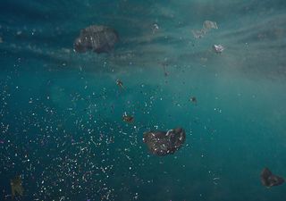 Encontraron una gran densidad de microplásticos en la Fosa de las Marianas, uno de los lugares más profundos del mundo