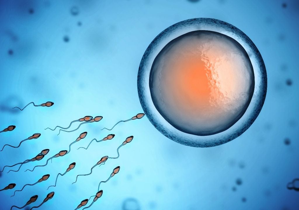 microplásticos