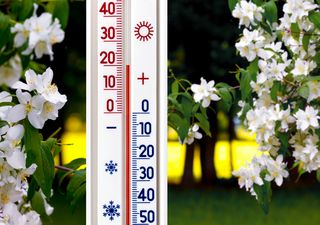 Endlich kommt der Frühling: Viel Sonne und bis zu 21°C