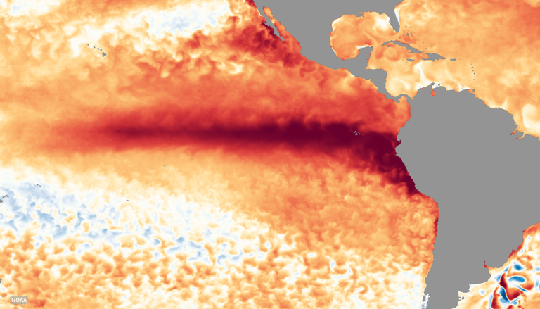 El S&uacute;per El Ni&ntilde;o quebrar&aacute; todos los r&eacute;cords este 2026: 95% de probabilidad de ocurrencia durante la primavera chilena