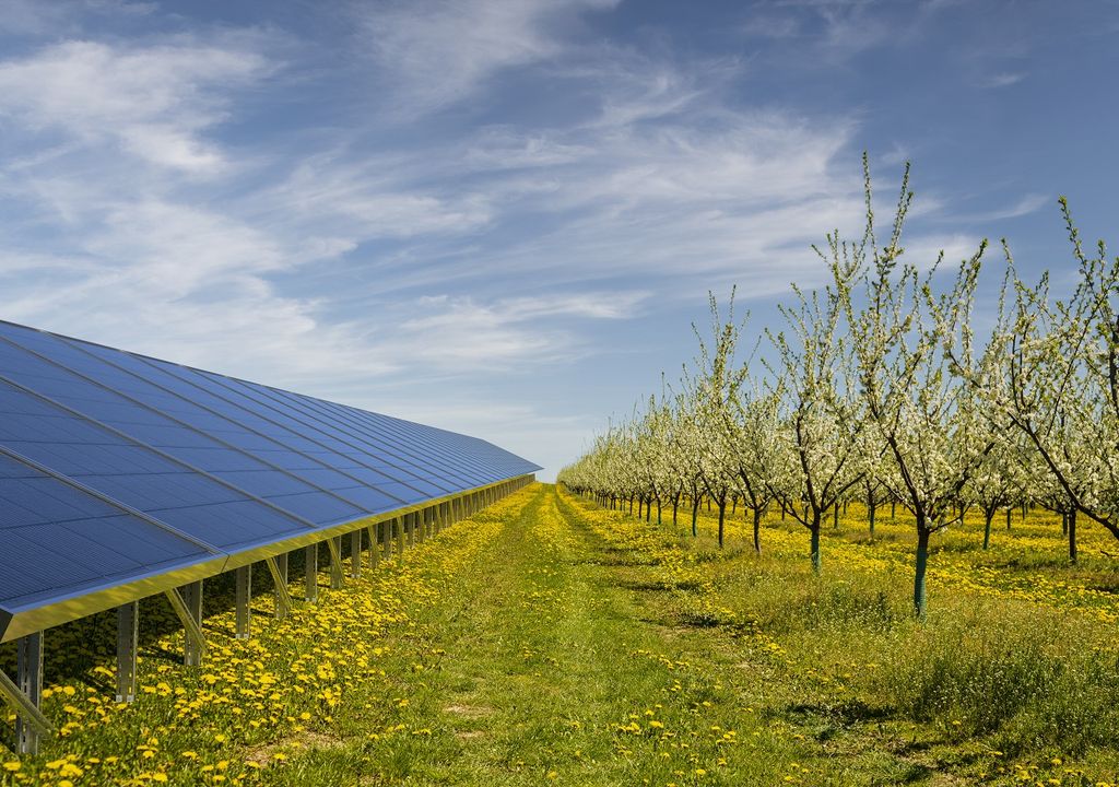 Energía Agrovoltaica: ¿respuesta Efectiva Al Cambio Climático?