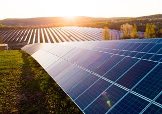 ¿Qué es la energía agrovoltaica? Placas solares entre brócoli y viñedos