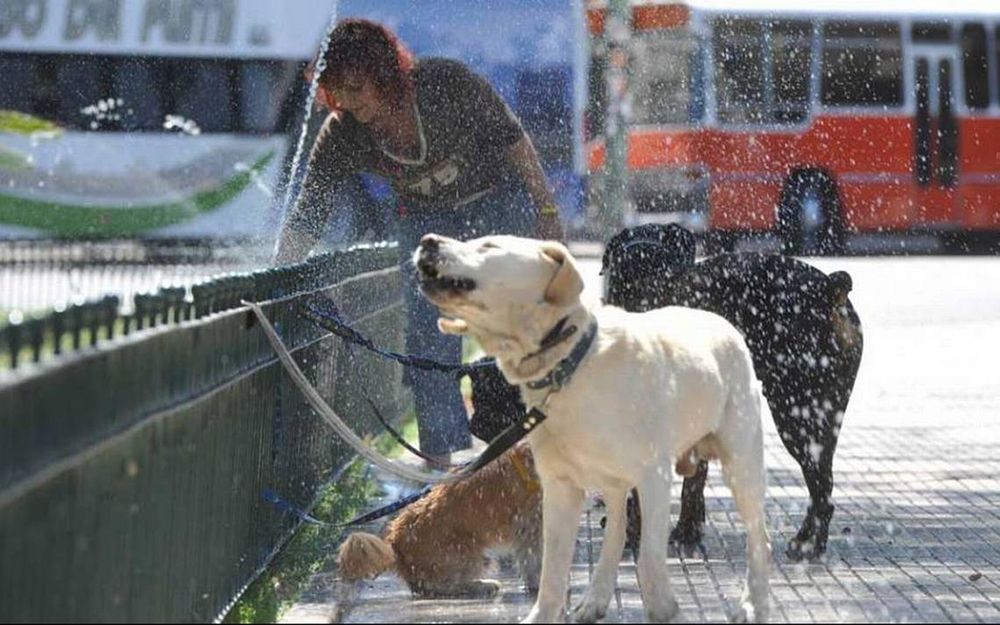 Temperatura calor récord Argentina Temperatura calor récord Argentina