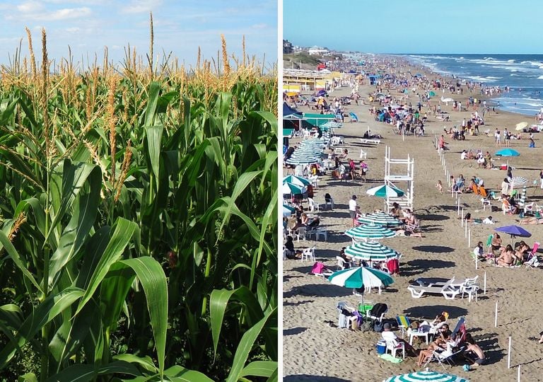 Enero, febrero y marzo de 2026: &iquest;qu&eacute; esperar del clima en Argentina, entre lluvias, calor y se&ntilde;ales del Pac&iacute;fico?