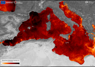 ¿Realmente se ha enfriado el Mediterráneo occidental durante estos días de julio de 2025 y no supone un
