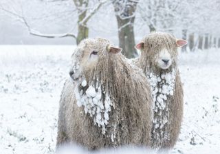 England deals with impacts of snow and floods after people, children and animals evacuated