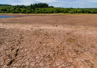 England records driest July since 1935, Met Office says