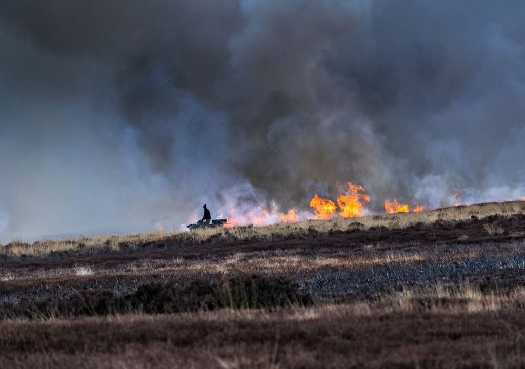 Peatland burning