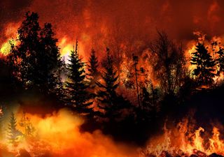 Enormes incendios en Estados Unidos crean caos y causan estragos