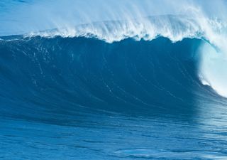 Enorme "ola rebelde" rompe récord como la más grande jamás registrada