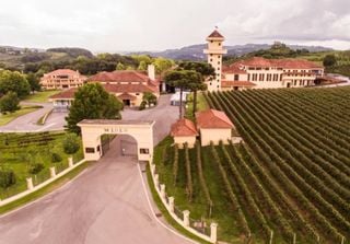 Enoturismo: as 5 melhores rotas turísticas para amantes de vinho no Brasil