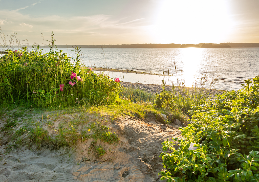 Strand, Glücksburg, Flensburger Förde, Norddeutschland Strand, Glücksburg, Flensburger Förde, Norddeutschland