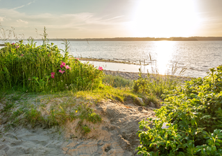 Entdecke die verborgenen Küsten Deutschlands: 5 geheime Strände an der Nord- und Ostsee
