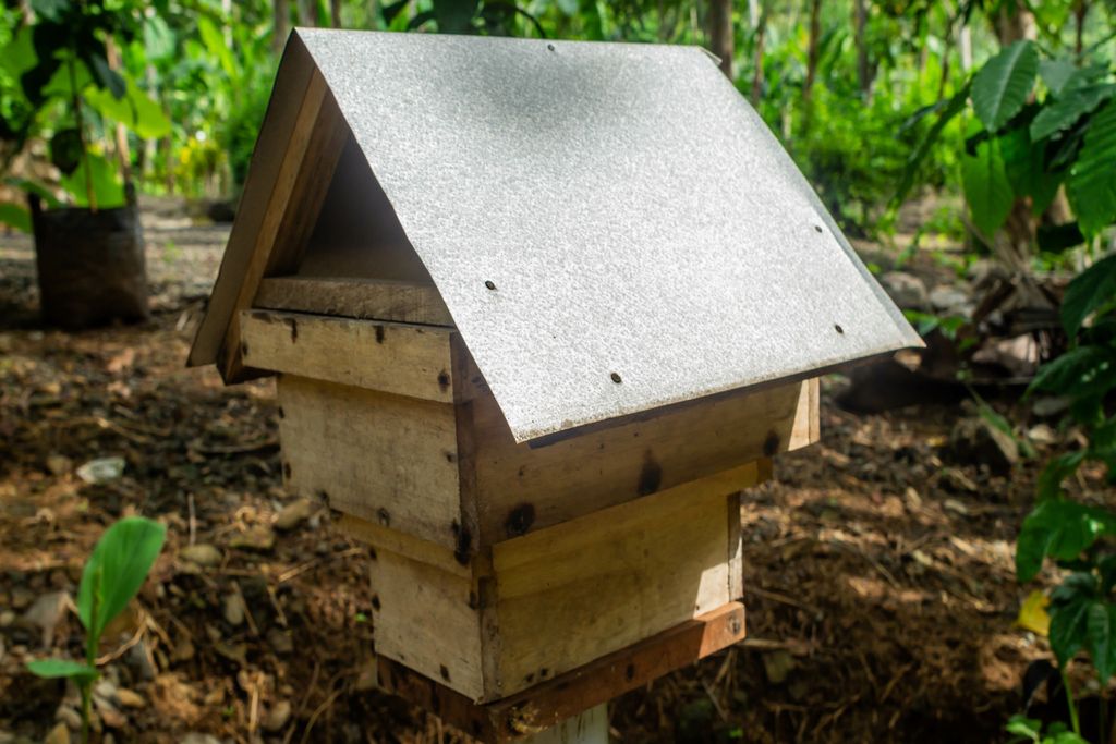 Café, abelhas, sustentabilidade