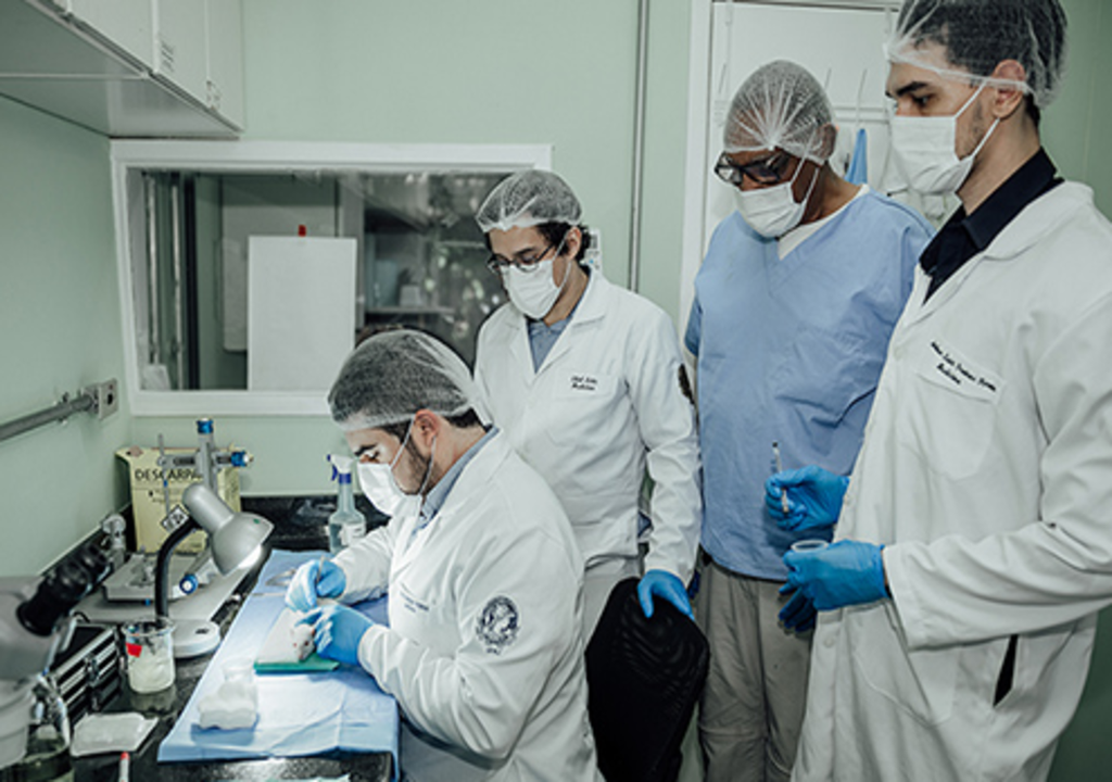 Investigadores desarrollan una técnica sencilla para la repolimerización de la laminina