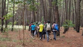Entenda como vai funcionar o evento que vai abrir 18 trilhas ecol&oacute;gicas gratuitas no DF