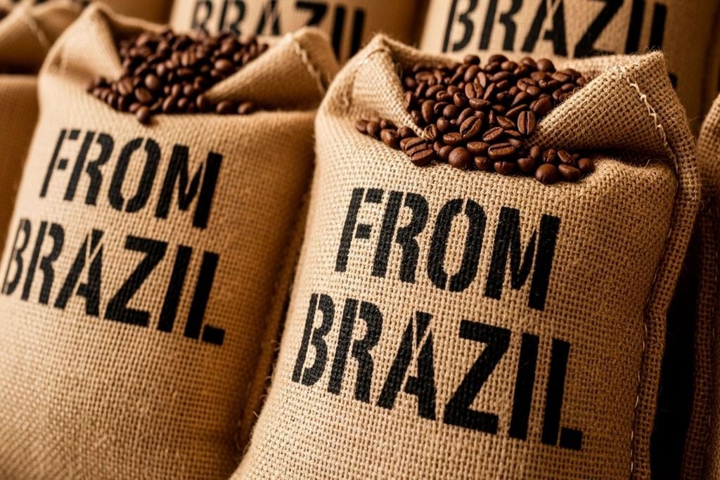 Café brasileiro pode ganhar espaço na Europa com a redução de tarifas para produtos industrializados, como café torrado e solúvel, prevista no acordo Mercosul–UE.