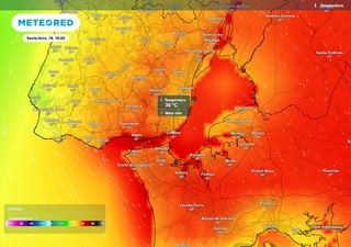 "Entre amanh&atilde; e s&aacute;bado, Lisboa ter&aacute; temperaturas superiores a 26 &ordm;C": Joana Campos conta-lhe o que vir&aacute; depois
