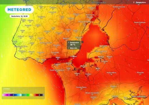 "Entre amanh&atilde; e s&aacute;bado, Lisboa ter&aacute; temperaturas superiores a 26 &ordm;C": Joana Campos conta-lhe o que vir&aacute; depois