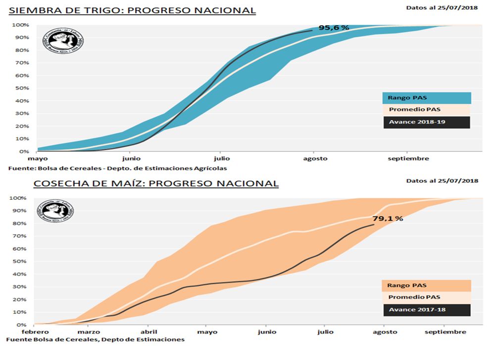 Maiz Trigo Cultivos Siembra Cosecha