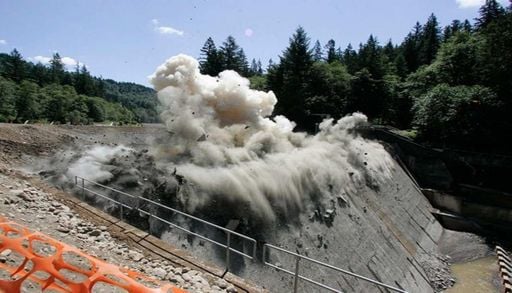 Entre energia e biodiversidade: o dilema das barragens europeias