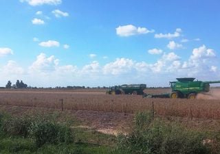 Entre excesos y demoras: qu&eacute; puede pasar con la cosecha en Argentina si contin&uacute;an las lluvias en abril