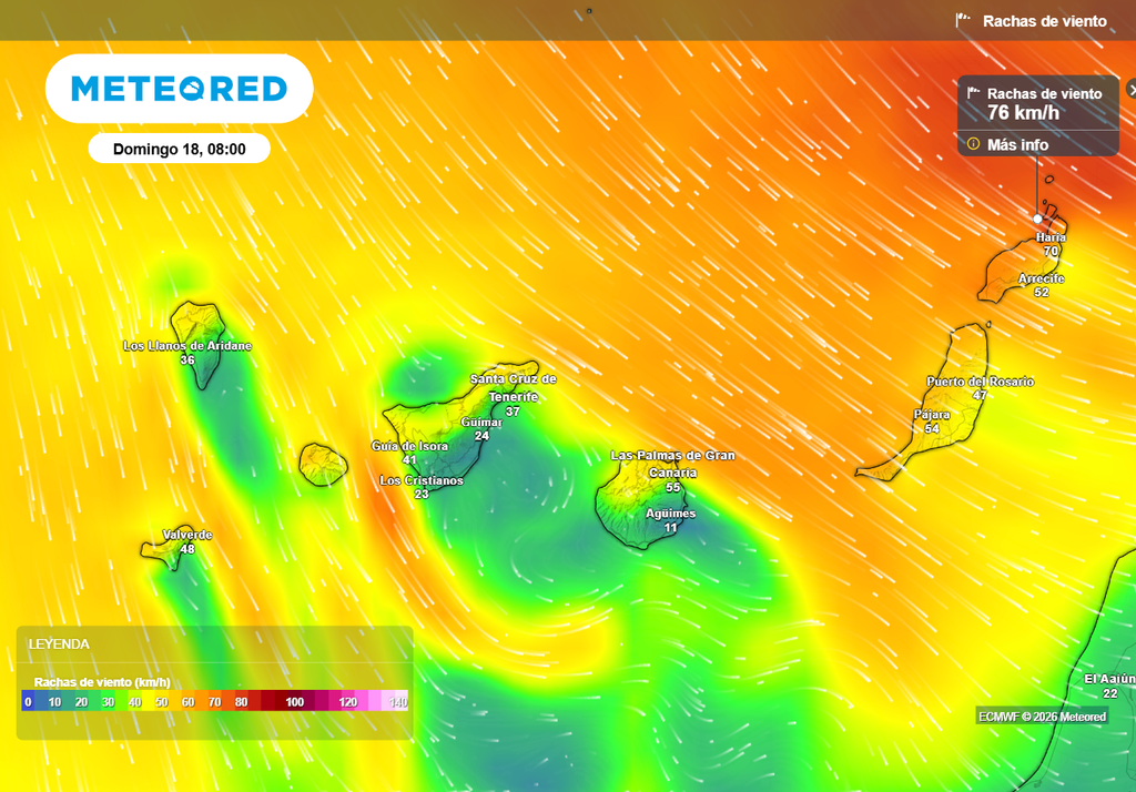 El viento del norte y noroeste irá a más en Canarias, registrándose rachas de más de 70-80 km/h.