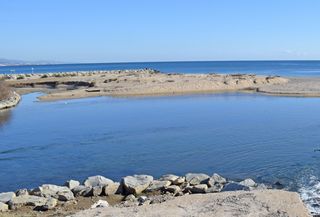 Entre lo dulce y lo salado del agua