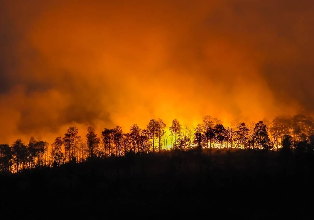 Incendios forestales Incendios forestales