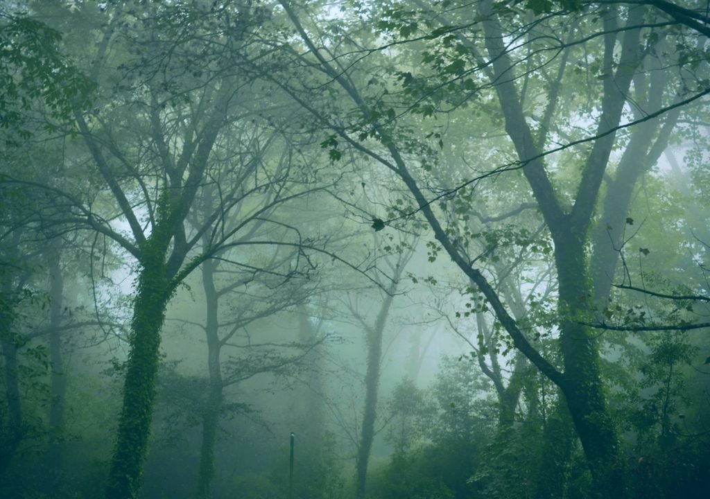 Sintra Sintra