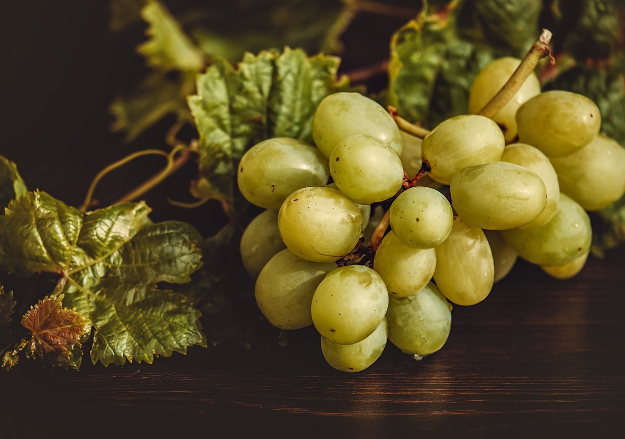 Las uvas son un fruto anciente: se cree que la vitis vinifera, la variedad principal, ha sido cultivada durante más de 8,000 años.