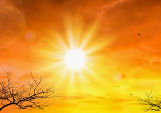 Entre veranico e chuvas volumosas, como se comportará o clima em agosto no Brasil?