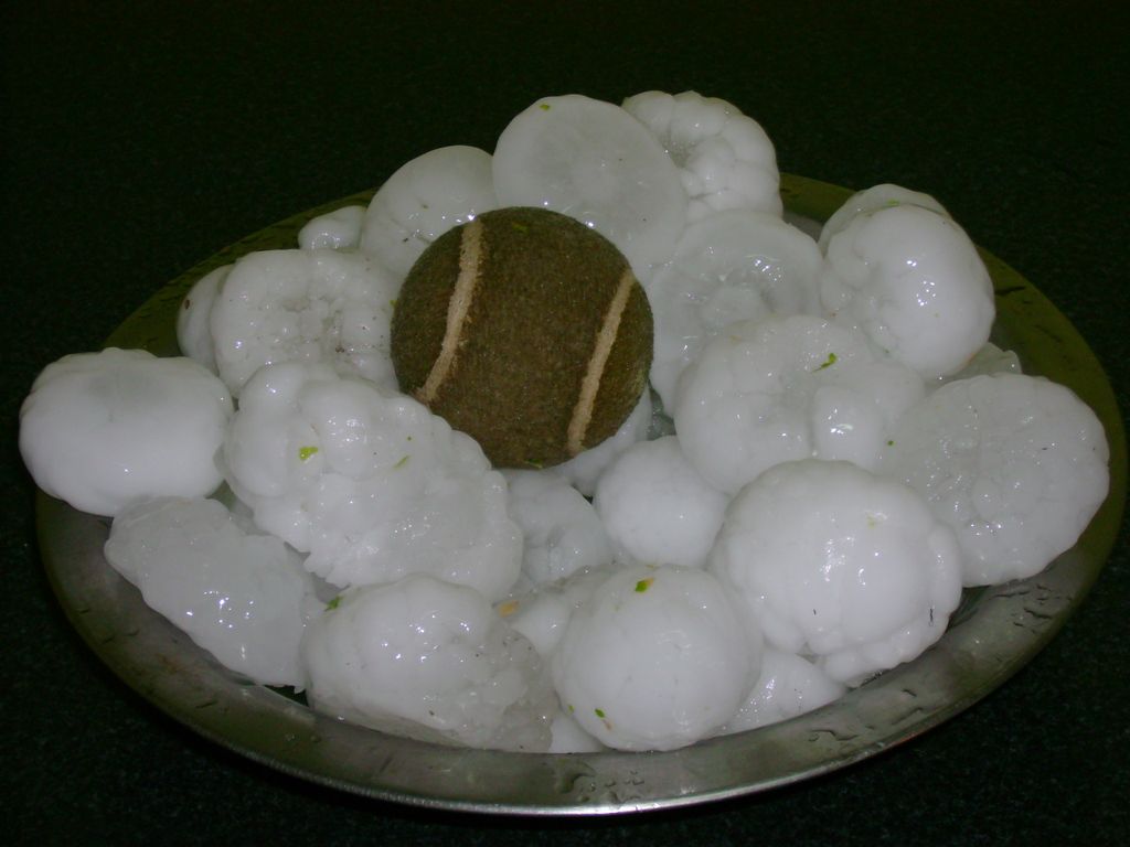 Figura 3.- Pedriscos de gran tamaño recogidos por el autor al paso de una tormenta severa en Mendoza (Argentina) Figura 3.- Pedriscos de gran tamaño recogidos por el autor al paso de una tormenta severa en Mendoza (Argentina)