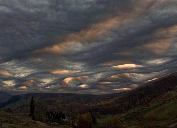 Figura 4.- Asperatus fotografiados en Schiehallion, Perthshire, Escocia. Autor: Ken Prior.