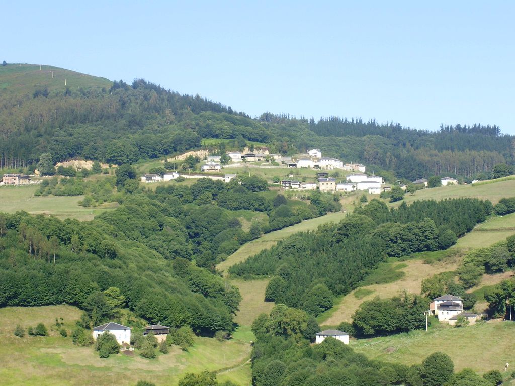 Vista panorámica del pueblo de Zardaín Figura 3.- Vista panorámica del pueblo de Zardaín, en el concejo asturiano de Tineo. La pequeña loma en la que se ubica el pueblo tiene una elevación de 410 m sobre el nivel del mar.