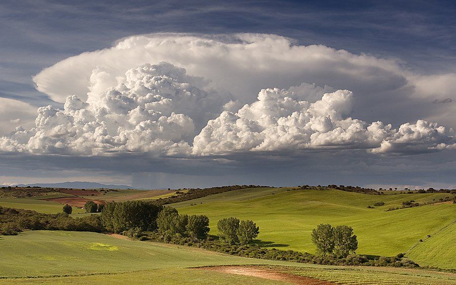 Cumulonimbus capillatus incus Cumulonimbus capillatus incus