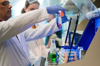 Un grupo de cient&iacute;ficos revierte el envejecimiento cerebral con un aerosol nasal: su potencial uso para el Alzheimer