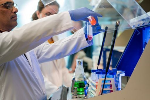 Un grupo de cient&iacute;ficos revierte el envejecimiento cerebral con un aerosol nasal: su potencial uso para el Alzheimer