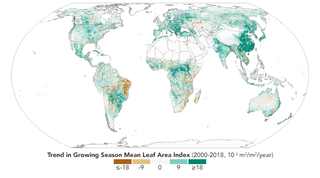 Enverdecimiento del planeta y la reducción del calentamiento global