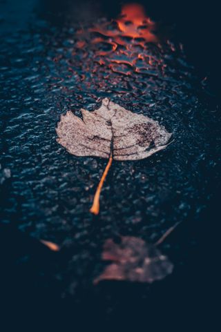 Episodio de precipitaciones generalizadas otoñales de noviembre
