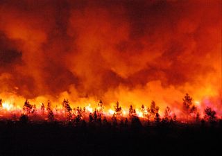 Época de incêndios histórica no Alasca