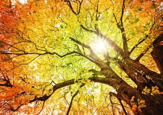 Equinoccio de otoño 2025: cuándo empieza la nueva estación en España y qué cambios traerá