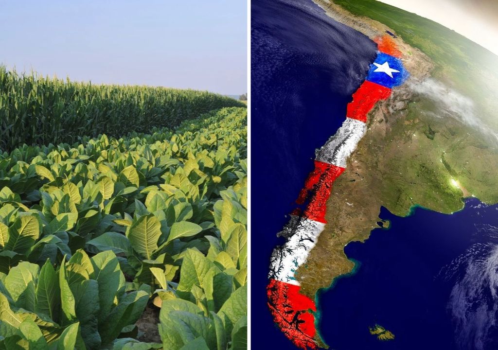 agricultura y Chile