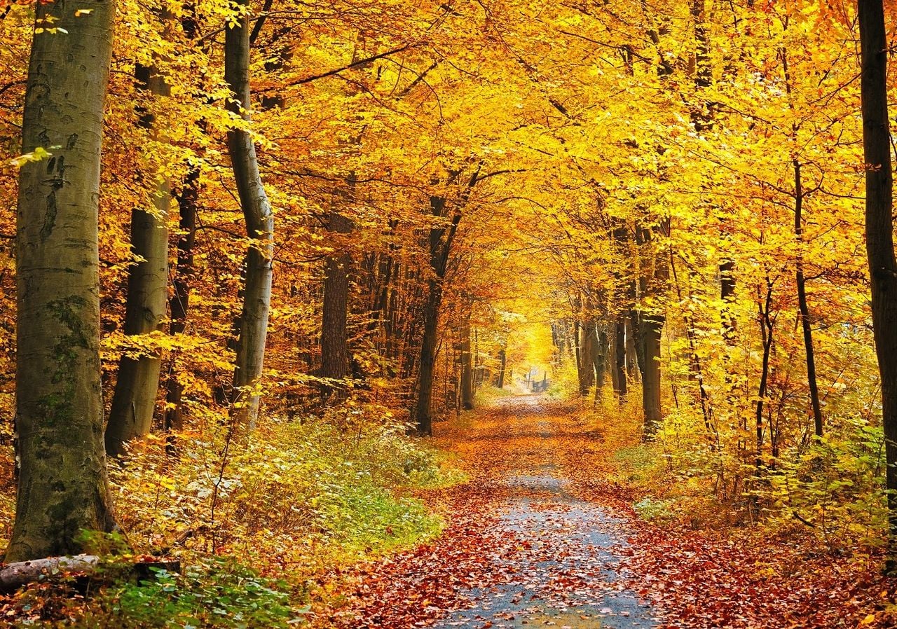 Equinozio e cambio d'ora, le date chiave dell'autunno: quando saranno