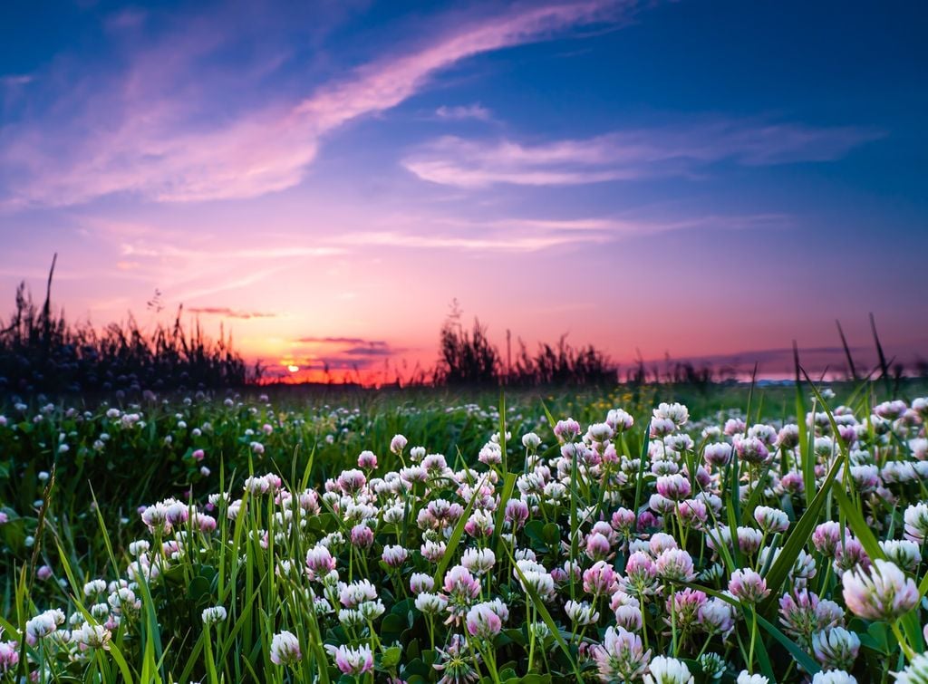A marzo avremo l'equinozio di primavera ed anche il cambio d'ora, con il passaggio all'ora legale.
