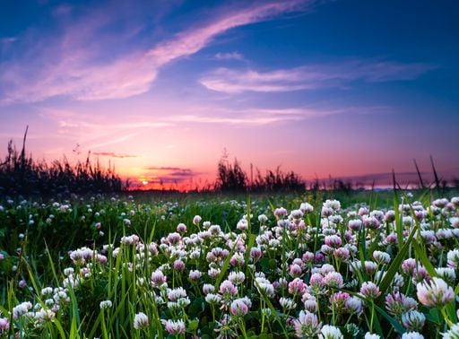 Equinozio di primavera e ora legale 2026: le date da segnare in calendario