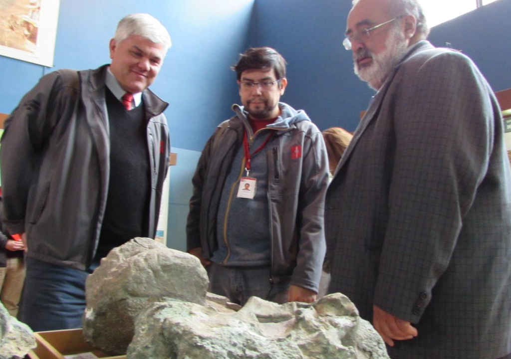 Claudio Gómez, director del Museo Nacional de Historia Natural (MNHN); David Rubilar, jefe del Área de Paleontología del MNHN; y Mario Pereira, director de Sernageomin, observan el ejemplar de Chilesaurus diegosuarezi, uno de los hallazgos paleontológicos más relevantes de Chile.