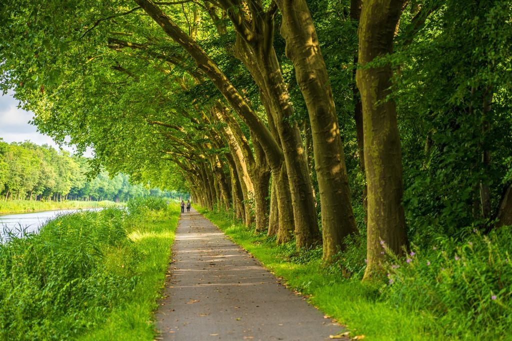 Heute ist Meppen ein Outdoor-Paradies: Radweg an der Ems. Foto: Adobe Stock