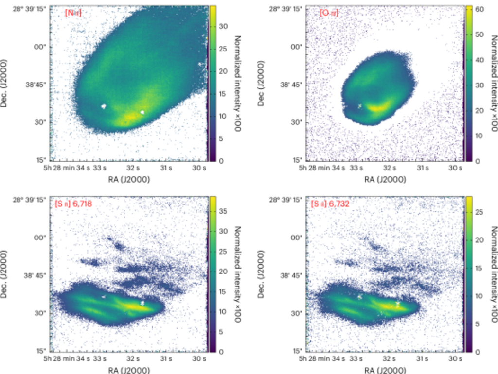 MUSE-Beobachtung von RXJ0528+2838 und seiner ausgedehnten Emission